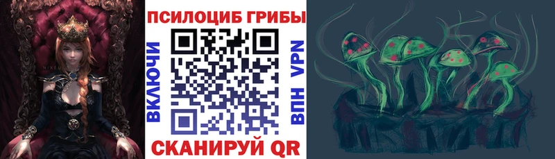 Купить закладки Искитим Галлюциногенные грибы Psilocybe